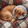 thumbnail image 5 of Transparent Pet Elizabethan Collar, Breathable Soft Mesh Recovery Cone for Dogs and Cats, Anti-Lick Wound Healing E-Collar, Size 11.8-13.4 Inches, 5 of 7
