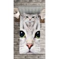 thumbnail image 3 of Ambesonne Animal Quilted Bedspread Set 2 Pcs, Domestic Kitty Portrait, Twin Size, Multicolor, 3 of 3