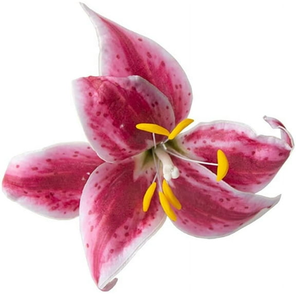 Crystal Candy Make-a-Tiger-Lily Wafer-Paper Flowers, Pink