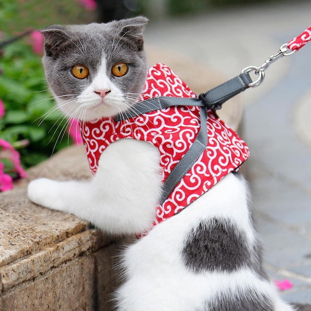 Tebru Escape Proof Cat Harness Padded Vest With Leash Adjustable Soft