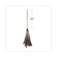 thumbnail image 2 of Boardwalk Professional Ostrich Feather Duster, 16" Handle, 2 of 7
