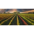 thumbnail image 2 of Komovec, Ales 18x11 White Modern Wood Framed Museum Art Print Titled - Vineyard In Autumn, 2 of 4