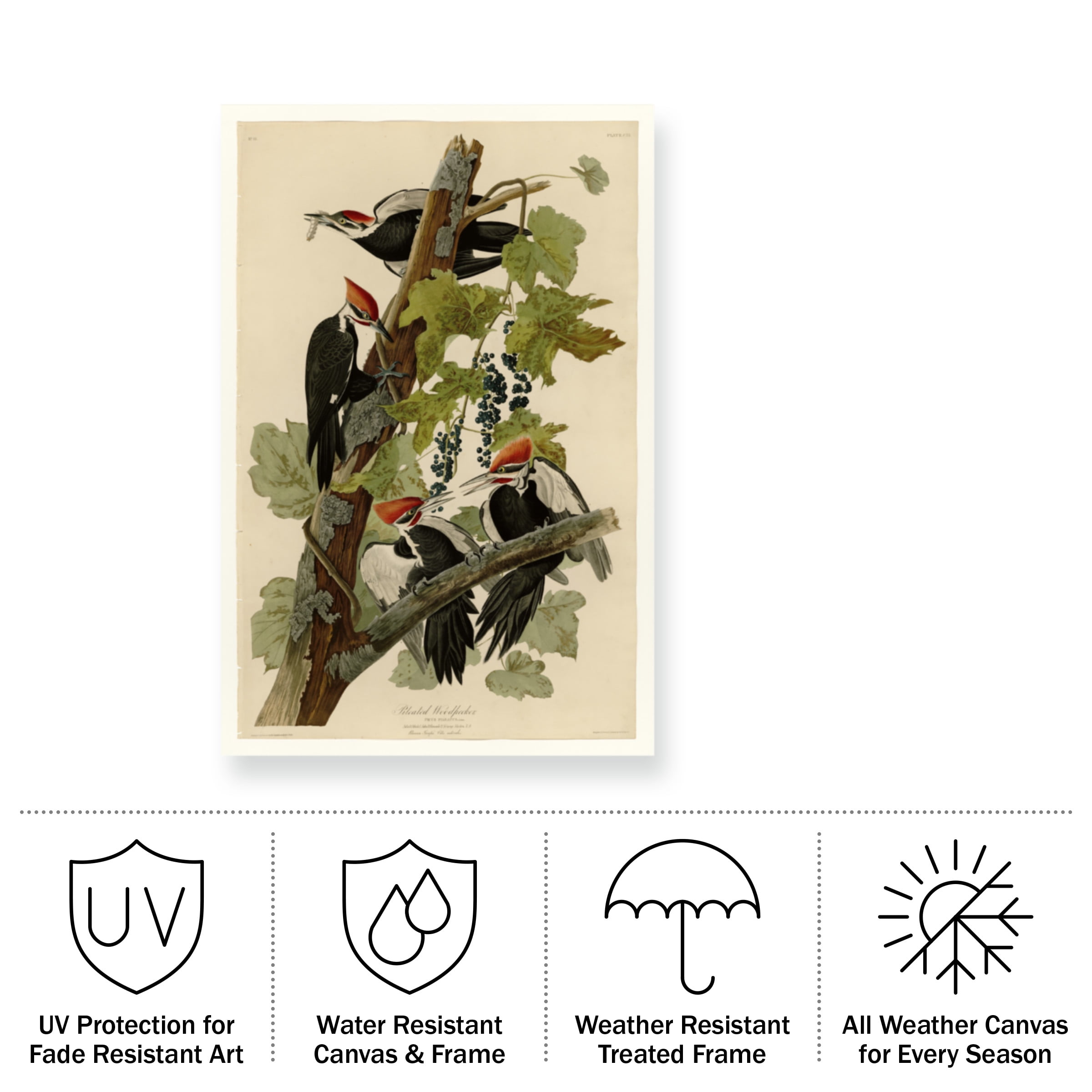 John James Audubon 'Pileated Woodpeckers' Outdoor All-Weather Wall Decor