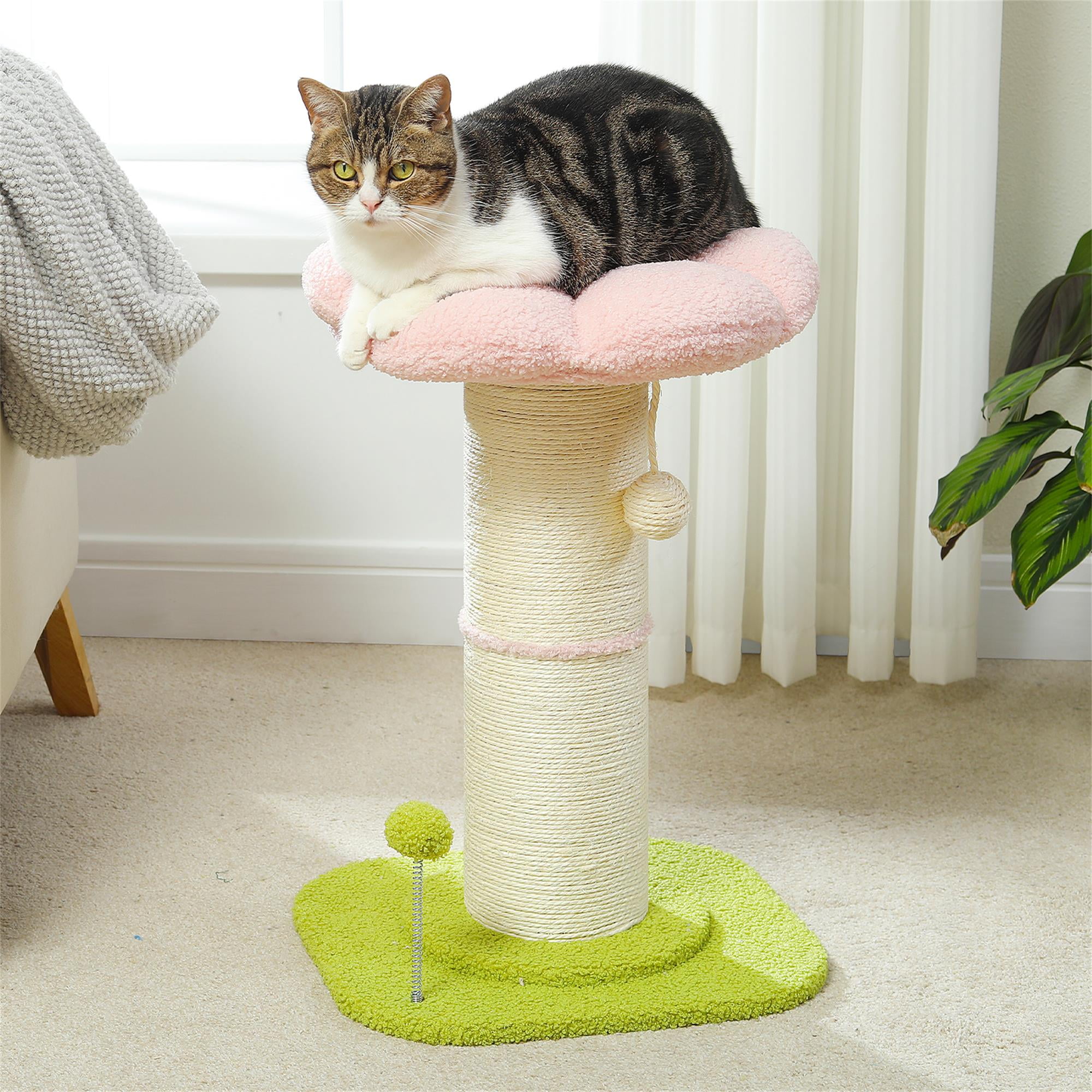 resenkos 23" Flower Cat Scratching Post for Indoor Cats, Small Cat Tree Tower with Perches and Spring Ball for Adult Cats, Pink