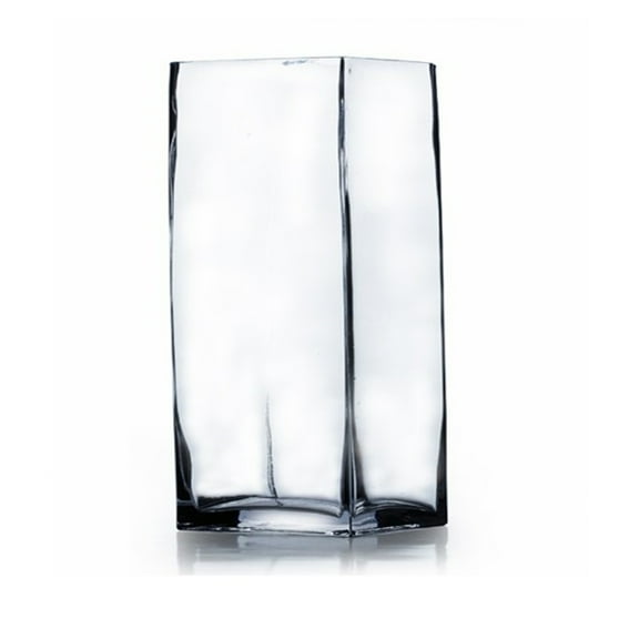 Enova Home Rectangle Shape Clear Glass Vase 4.0" W x 12.0" H