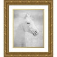 thumbnail image 1 of Murdock, Ramona 20x24 Gold Ornate Wood Framed with Double Matting Museum Art Print Titled - Wild Freedom, 1 of 4