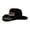 Black, variant on JULMCOMO 250th Anniversary USA Cowboy Hat Felt Stars Stripes Roll Up Vintage Patriotic Hat for Independence Day Black