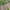 Green, variant on asdoklhq Woman Plus Size Clearance Dresses,Summer Dress Floral Print Sleeveless Tank Dress Flowy Dresses