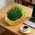 thumbnail image 4 of Linnome Pineapple Shaped Hydroponic Seed Starter Tray Soil Free Nursery For Sprouting And Counter Decor, 4 of 6