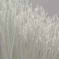 thumbnail image 5 of Sparta, Plastic, 56 Inches, Brown, 5 of 5