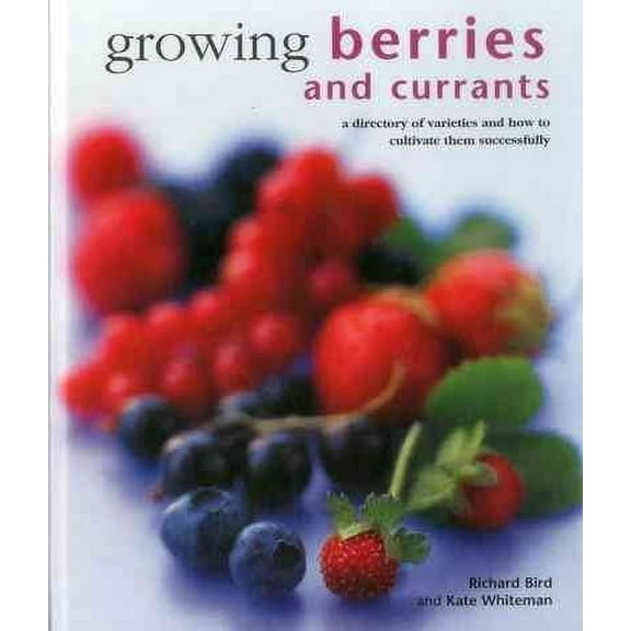 Growing Berries and Currants : A Directory Of Varieties And How To Cultivate Them Successfully (Hardcover)
