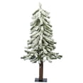 thumbnail image 1 of Árbol de Navidad alpino flocado artificial Vickerman de 61 cm, 1 of 2