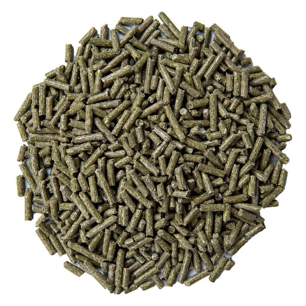 Small Pet Select-Premium Guinea Pig Pellet Food, Non-GMO, Soy Free. Local Ingredients in Pacific Northwest, 10lb, Green