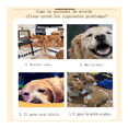 thumbnail image 2 of Juguetes De Cuerda Para Perro Morder Paquete De 7 Piezas Lab.G, Multicolor, 2 of 5