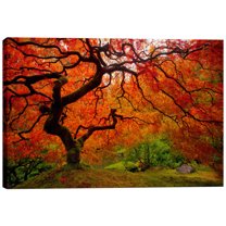 Epic Graffiti 'Tree Fire' by Darren White, Canvas Wall Art, 18" x 26"