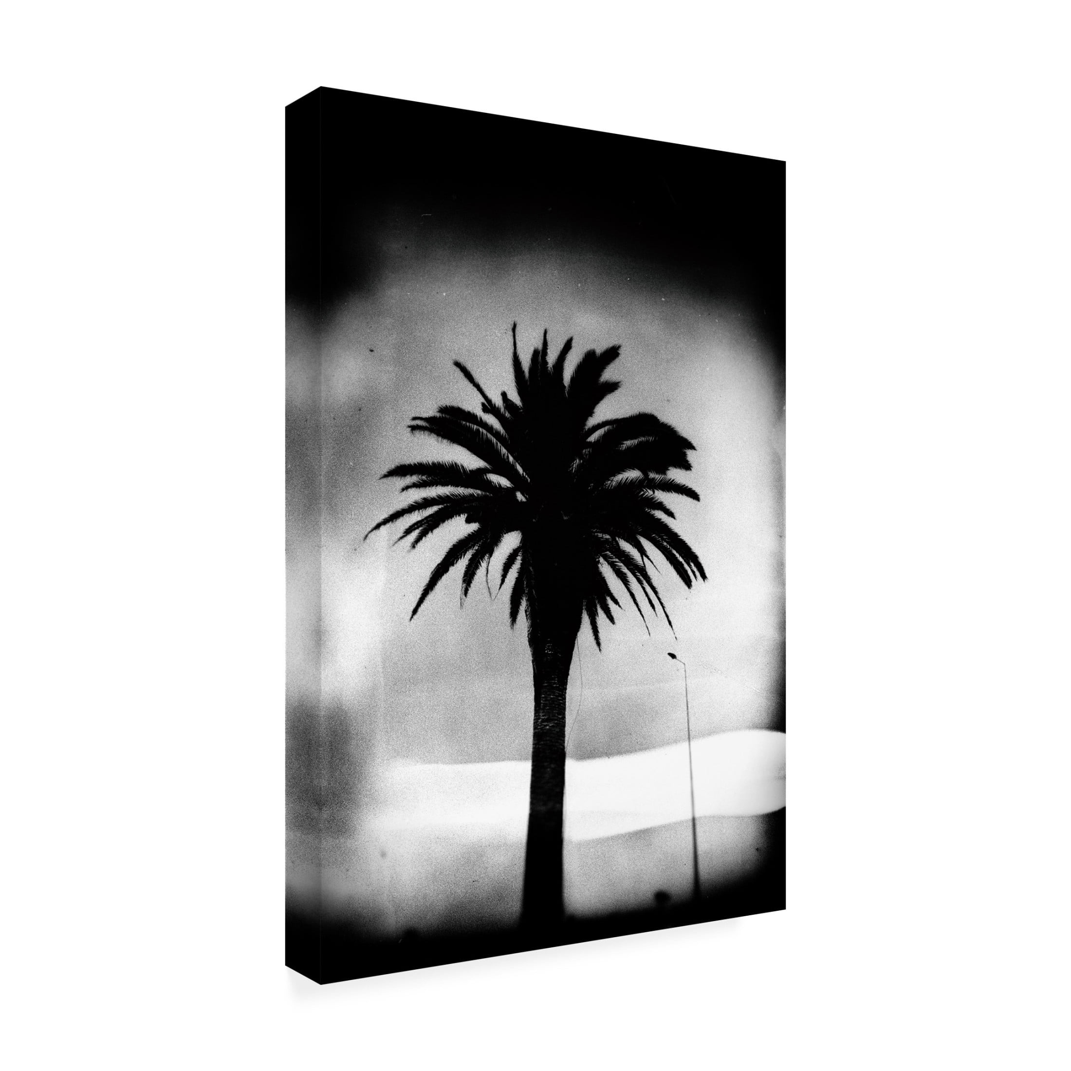 Canvas Wall Art - Rui Correia 'The Silence' Wall Art for Living Room, Bedroom, or Office Décor by Trademark Fine Art - 12 x 19 Inches