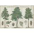thumbnail image 2 of Schlabach, Sue 32x23 Gold Ornate Wood Framed with Double Matting Museum Art Print Titled - Woodland Chart I, 2 of 4
