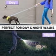 thumbnail image 7 of Dog Supplies Luminous Retractable Dog Leash with Front Safety Led Light - 360 °   Tangle-Free Training Leash for Ultimum Freedom with Anti Slip Handle Dogs & Cats, 7 of 7