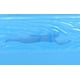 thumbnail image 4 of Estatua del póster de la película Tiburón 3D, 4 of 5