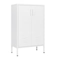 thumbnail image 2 of Metal Storage Cabinet With 2 Doors And 2 Adjustable Shelves, Metal Cabinet, Garage Storage Locker, File Cabinet For Home Office Garage Kitchen Shop, 2 of 9
