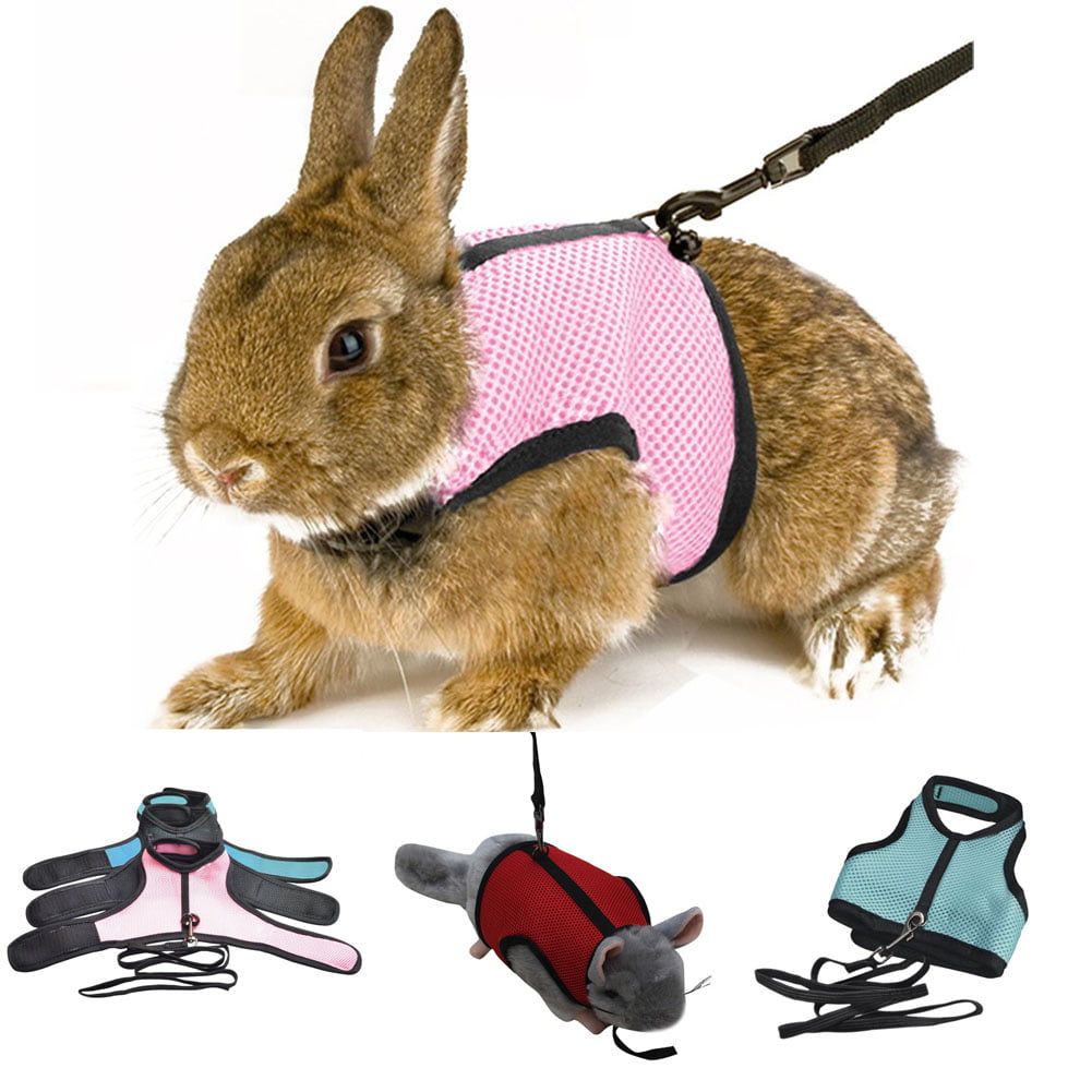 Adjustable Nylon Harness Lead Blue for Pet Dwarf Hamster Gerbil Rat Mouse Ferret Chinchilla Ferret Squirrel,Small Animal Walking Toy 