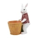 thumbnail image 1 of Conejo de resina con cesta, maceta para flores, contenedor de regalo, decoración de jardín, maceta Blanco Rojo Profundo, 1 of 9