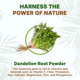 thumbnail image 5 of Go Nutra Dandelion Root Powder for Tea, Coffee & Beverages | Concentrated 10:1 Dandelion Root Extract Powder, Caffeine Free | No Added Ingredients | Non-GMO, Vegan | 8 oz, 5 of 5