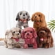 thumbnail image 5 of Electronic Plush Toys Puppy Interactive Electronic Plush Toy with Sounds and Movements Educational Plush Toy Birthday Gifts for Kids Girls（ Big Head Dog (Brown), 5 of 5