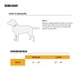thumbnail image 5 of Collar para perro Carhartt Pet, totalmente ajustable, con correas anchas, color marrón, 5 of 6