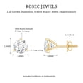 thumbnail image 4 of Rosec Jewels 1 Carat Lab Grown Diamond Earrings - EF-VS Grade - Screw Back, 14K Yellow Gold, 4 of 6