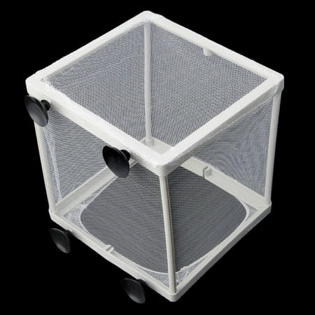 Fymall Generic Plastic Transparent Aquarium Self-floating Isolation Box