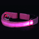 thumbnail image 1 of Collar de perro LED recargable por USB – Collar iluminado brillante y de alta visibilidad para caminar de noche con mascotas, 1 of 5