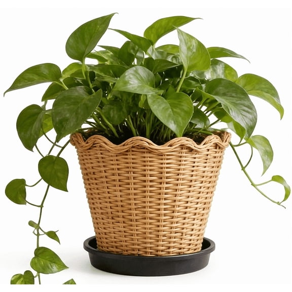 Woven Flower Pot, Planter, Synthetic Rattan Woven Decorative Flowerpot Container with Detachable Saucer Drip Tray for Indoor Outdoor Potted Houseplants Succulents