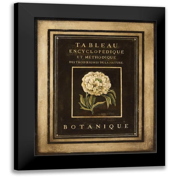 Poloson, Kimberly 12x14 Black Modern Framed Museum Art Print Titled - Les Fleurs de Paris II