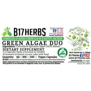 Pure Spirulina & Chlorella Capsules | Superfood | Nutrition | Algae | Chlorophyll | Herbs | Vitamins | [M]inerals | Natural | Organic - Bulk Purchase 50 Caps