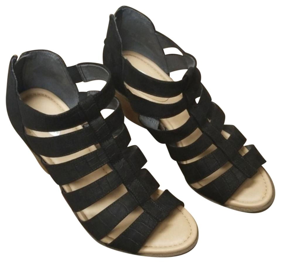 dr scholls chaser