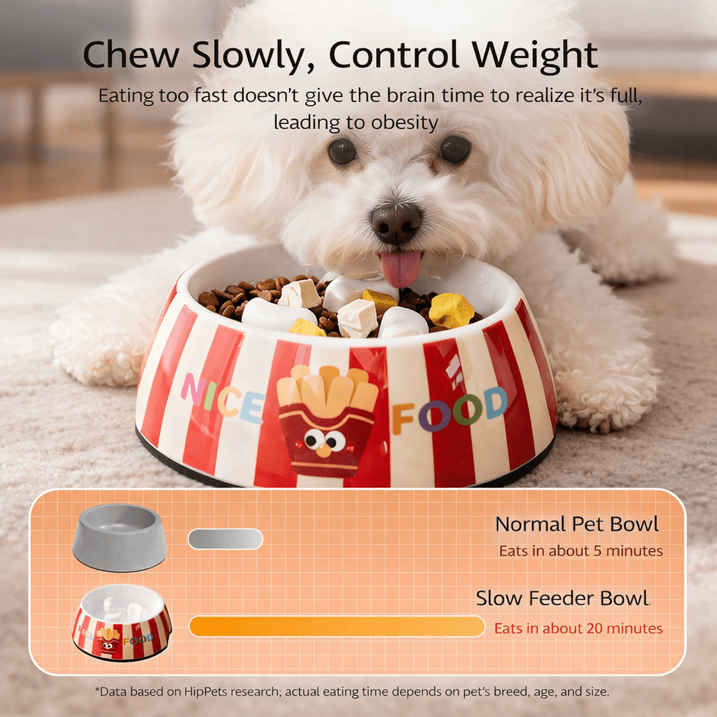 Slow Feeder Dog Bowl Anti Gulping Slow Feed Dog Food Bowl Pet Feeding Bowl Non Slip Dog Dish for Small Medium Dogs