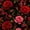 Color 4, variant on Peel and Stick Wallpaper 23.6in x 9.8ft Magical Blue Rose Crystal Perfume Bottle Contact Paper Vinyl Waterproof Self Adhesive Wall Paper for Bedroom Shelf Cabinet Renter Friendly