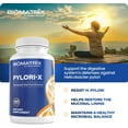 thumbnail image 5 of BioMatrix Pylori-x | Stomach and GI Support for H. Pylori Defense | Mastic Gum Berberine | Matula Tea Alternative (120 Caps), 5 of 7