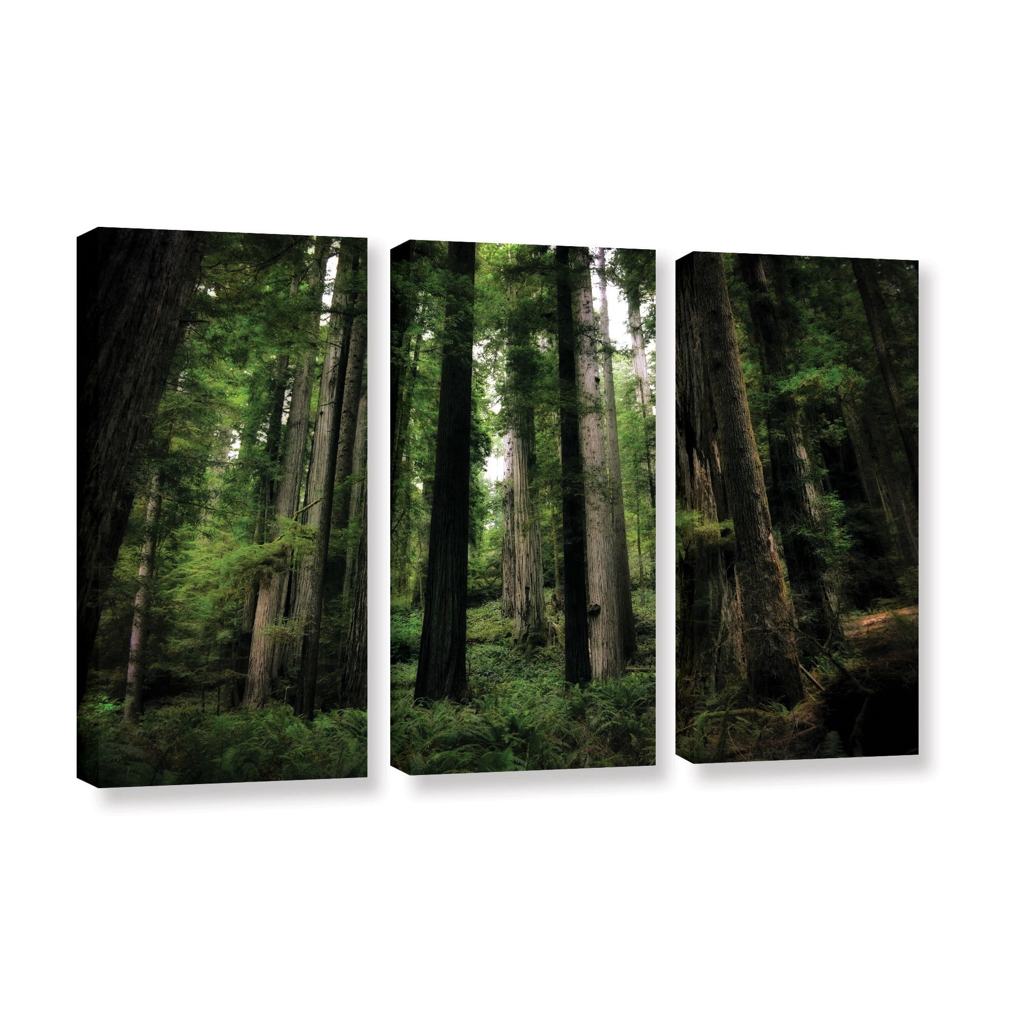 ArtWall Kevin Calkins "Among the Giants" 3-Piece Gallery-Wrapped Canvas Set