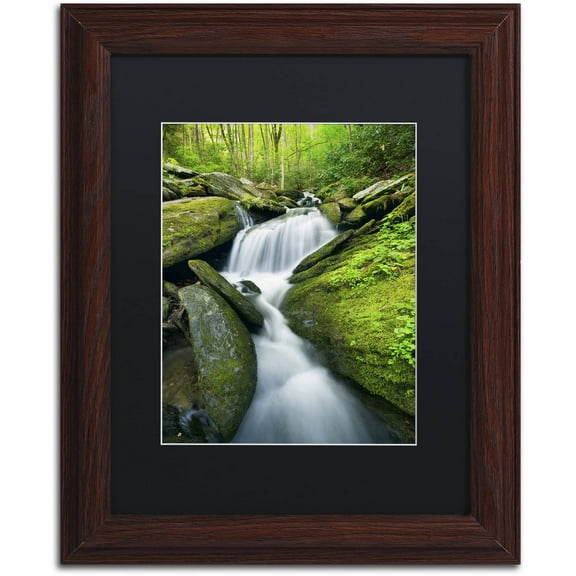 Trademark Fine Art 'Cascade Mossy Rocks' Canvas Art by Michael Blanchette Photography, Black Matte, Wood Frame