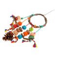 thumbnail image 4 of Swing Toy, Colorful Sharpen Beak Bird Swing Toys  for  S, 4 of 8