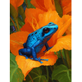 thumbnail image 1 of Qisvanset 12x16 Inch Exotic Birds Floral Canvas Print Wall Art, 1 of 5