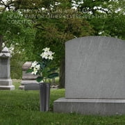 witspace Cemetery Vases with Spikes, Cemetery Decorations for Grave, Graveyard Plastic Drainable Flowers Holder, for Headstone Memorial Day Decor Outdoors Garden