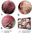 thumbnail image 3 of Designart "Pink White Shells Seashore composition I" Animals Metal Art Print, 3 of 5