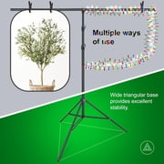 LINCO T-Shape Backdrop Stand with Black Screen 2 Softbox Studio Lighting Kit for Photo Video