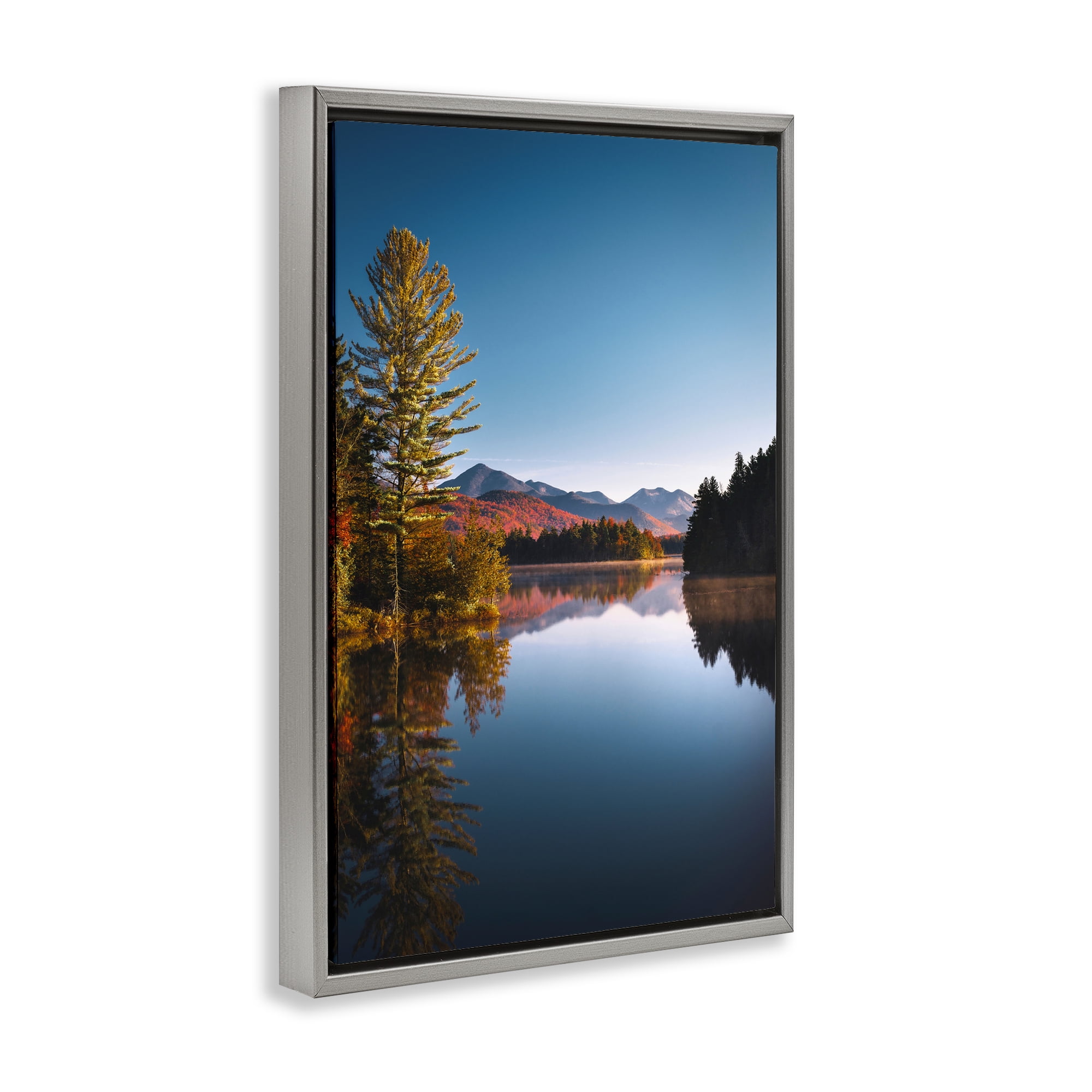 Stupell Industries Autumn Morning Wilderness Gray Framed Floater Canvas Wall Art, design by Jonathan Zaharek