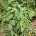 thumbnail image 4 of Panacea 33"H Tall Garden Trellis, Vegetable Corner Trellises, Green, Pack of 6, 4 of 5