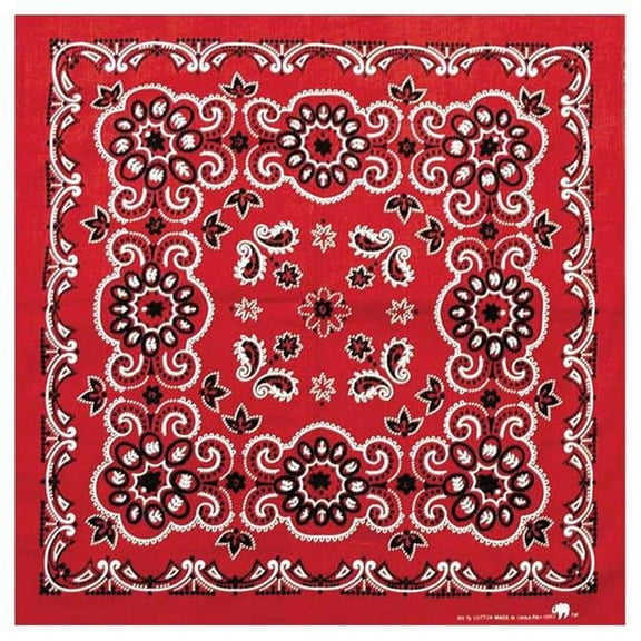 Texas Paisley Bandana, Kelley