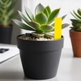 thumbnail image 6 of Single-Character Garden Marker, 1.97 x 0.39 inch Waterproof Plastic Label Stake for Herb Pots, Cactus Containers, Trays, Greenhouse Displays and Outdoor Organization, Yellow, 6 of 7